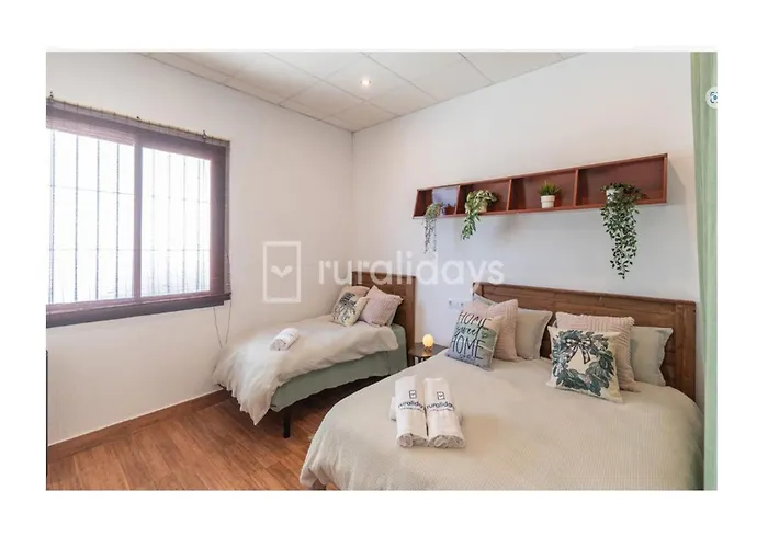 Villa Dehesa Olive